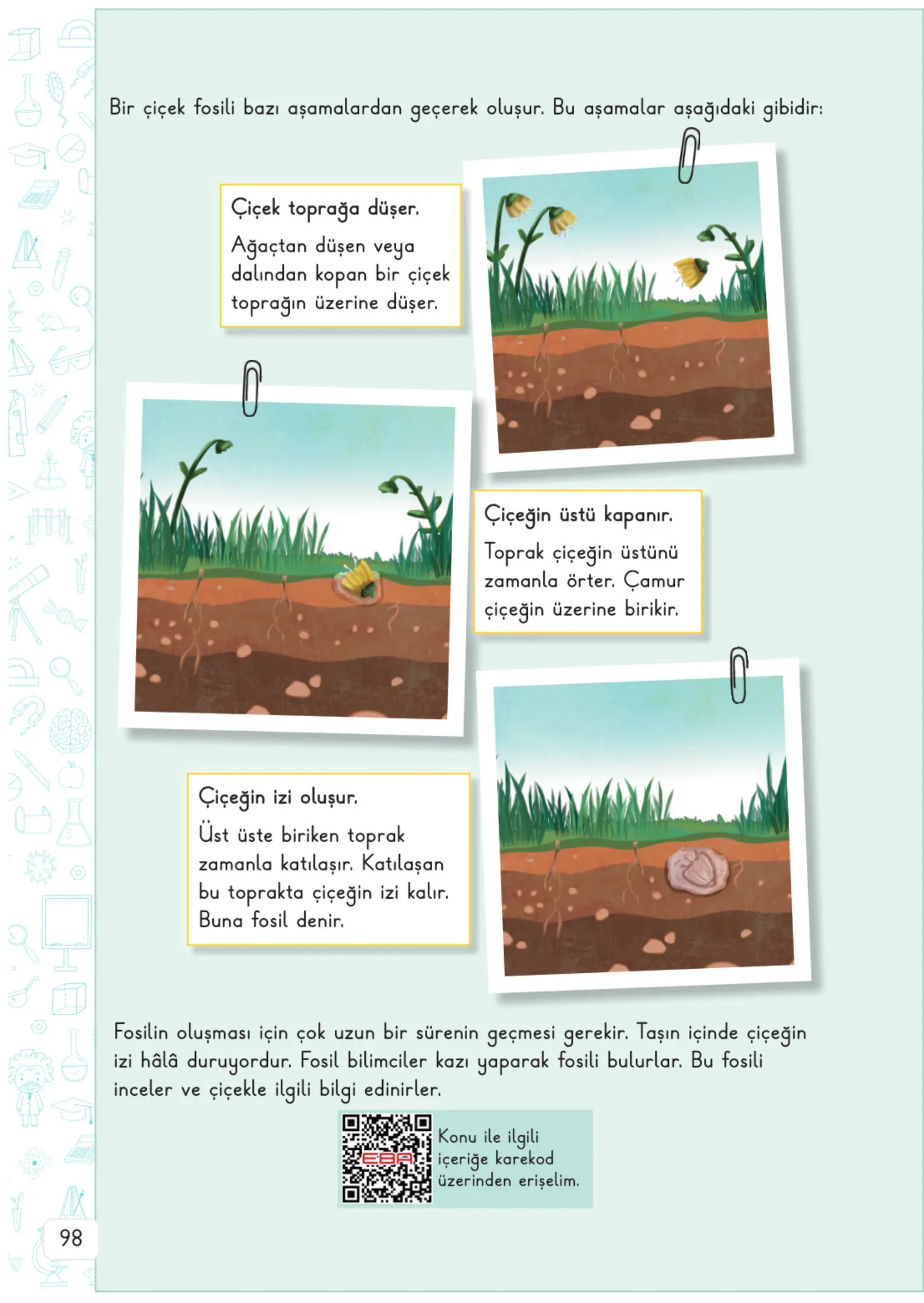 3. Sınıf Fen Bilimleri Ders Kitabı Cevapları Meb Yayınları 1. Kitap Sayfa 98
