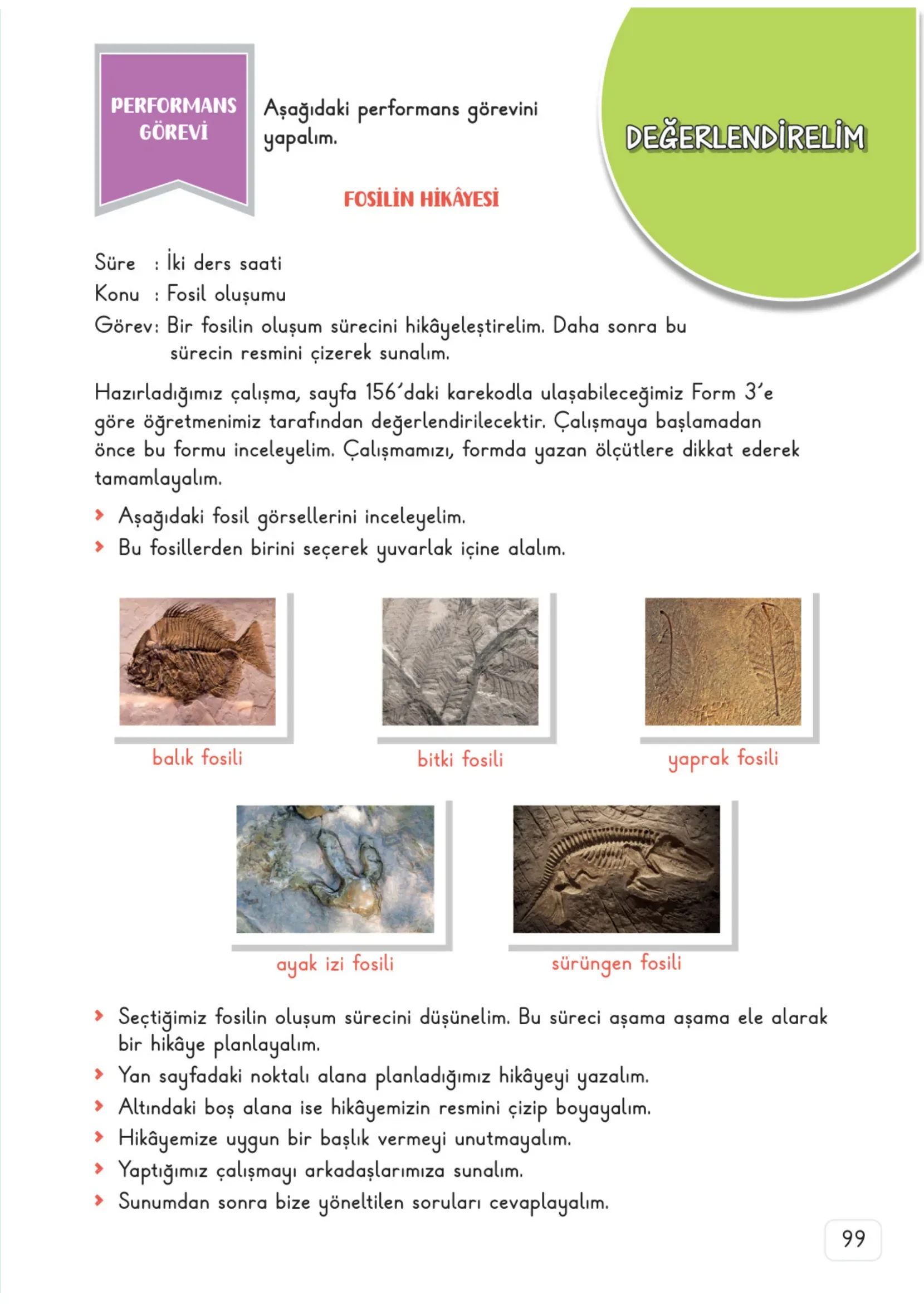 3. Sınıf Fen Bilimleri Ders Kitabı Cevapları Meb Yayınları 1. Kitap Sayfa 99