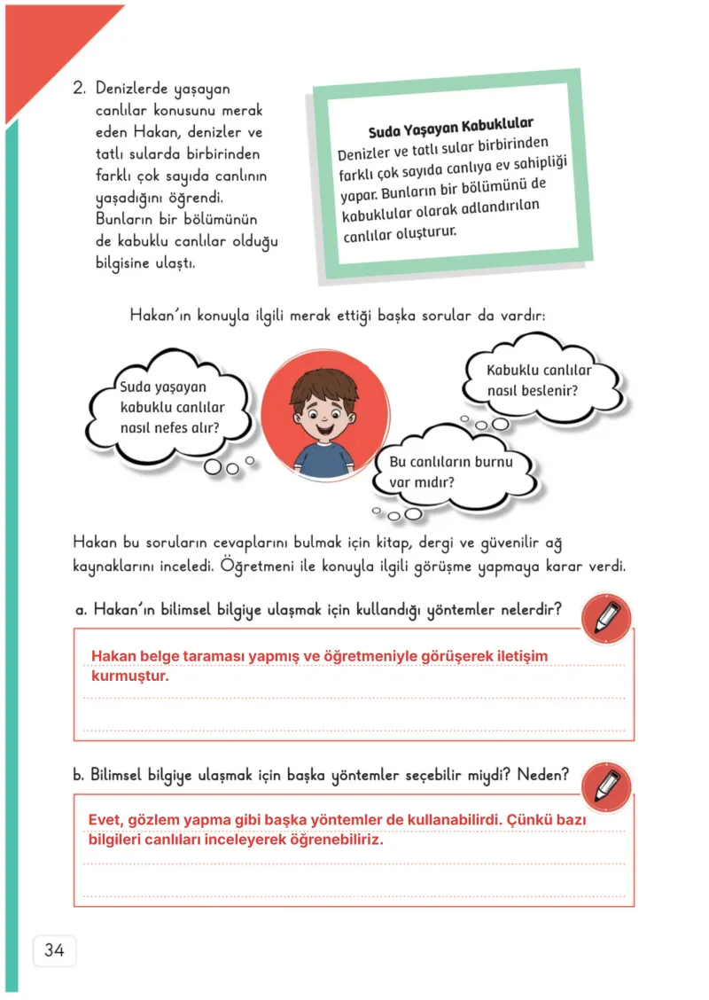 3. Sınıf Fen Bilimleri Ders Kitabı Cevapları Meb Yayınları 1. Kitap Sayfa 34 Çözüm Görseli