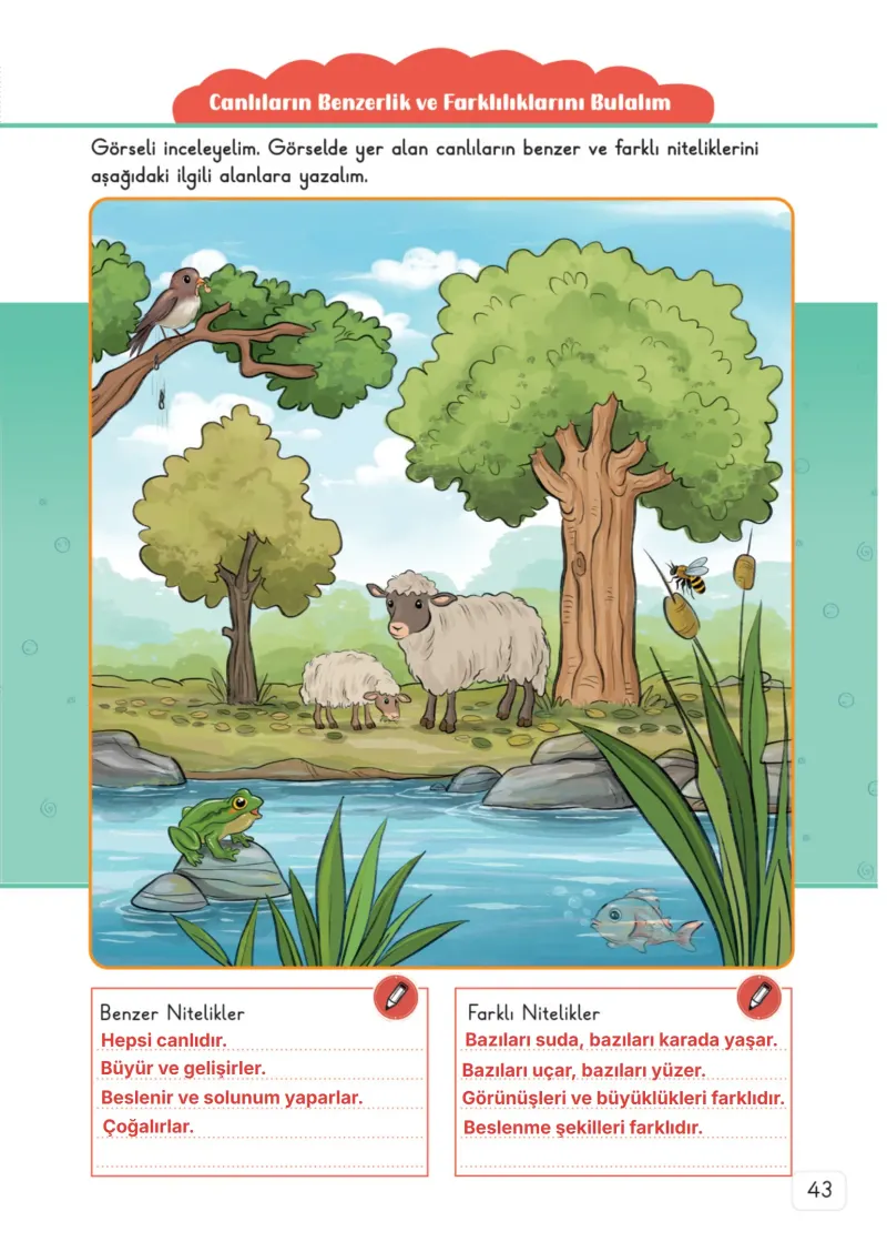 3. Sınıf Fen Bilimleri Ders Kitabı Cevapları Meb Yayınları 1. Kitap Sayfa 43 Çözüm Görseli