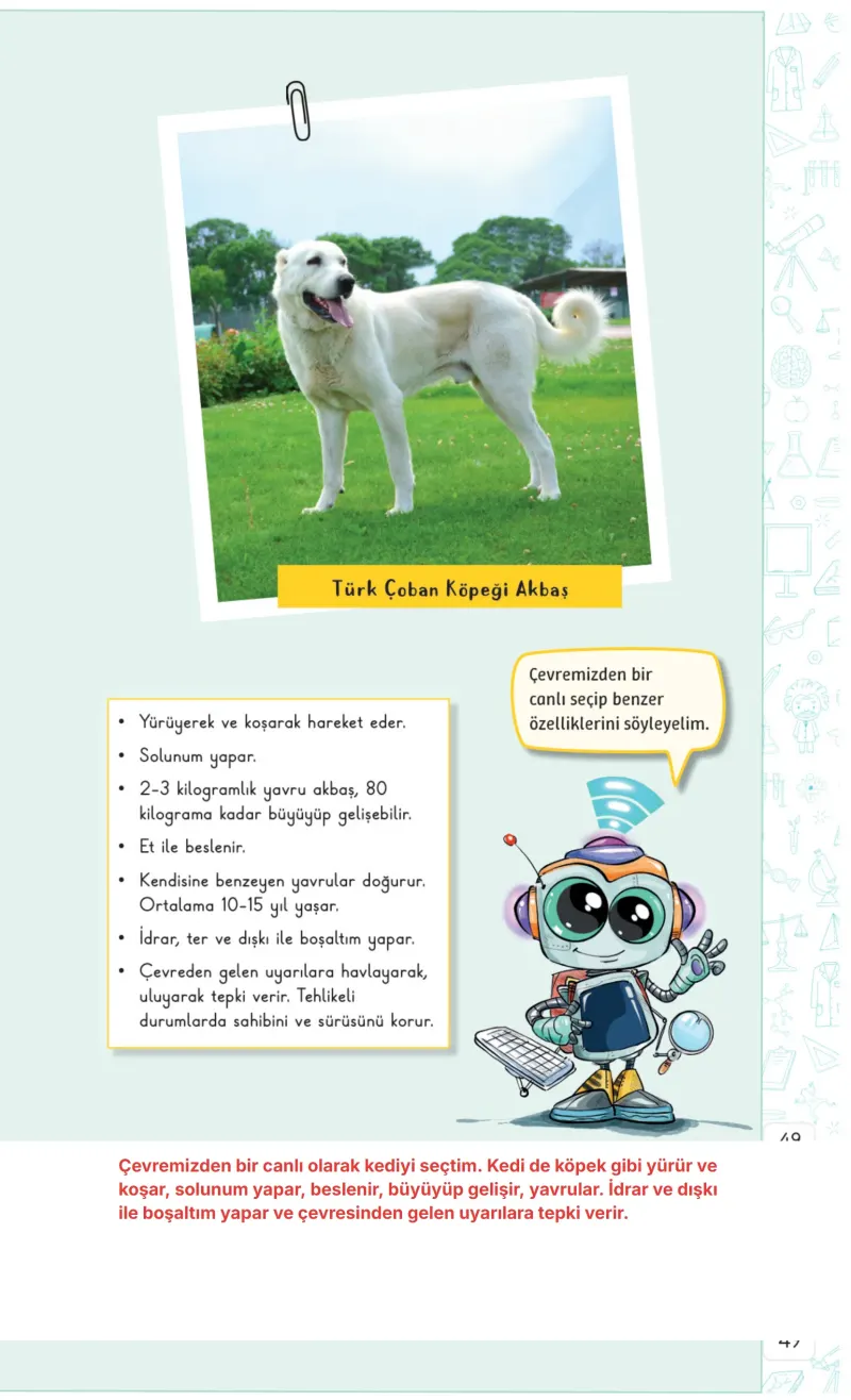 3. Sınıf Fen Bilimleri Ders Kitabı Cevapları Meb Yayınları 1. Kitap Sayfa 49 Çözüm Görseli