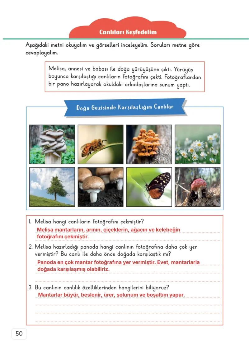 3. Sınıf Fen Bilimleri Ders Kitabı Cevapları Meb Yayınları 1. Kitap Sayfa 50 Çözüm Görseli
