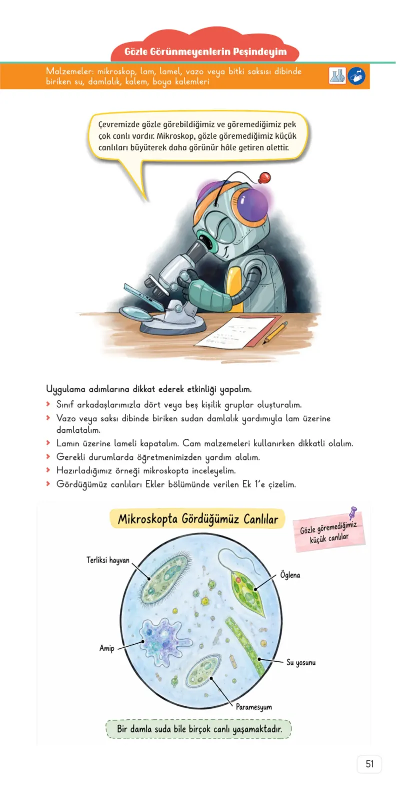 3. Sınıf Fen Bilimleri Ders Kitabı Cevapları Meb Yayınları 1. Kitap Sayfa 51 Çözüm Görseli