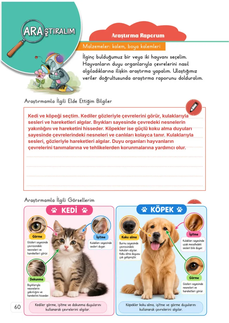 3. Sınıf Fen Bilimleri Ders Kitabı Cevapları Meb Yayınları 1. Kitap Sayfa 60 Çözüm Görseli