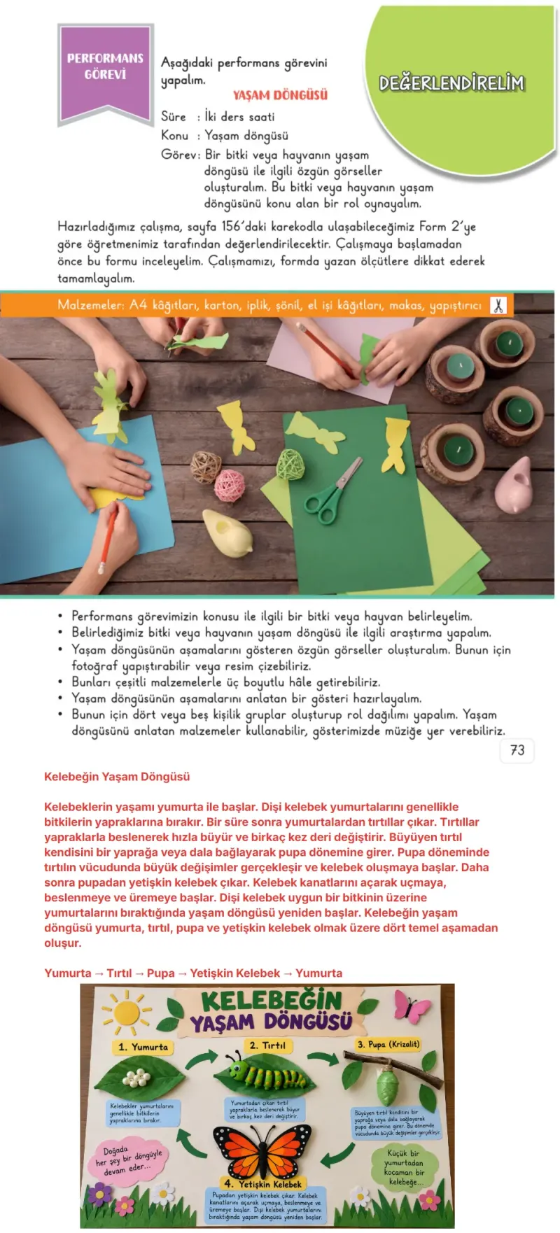 3. Sınıf Fen Bilimleri Ders Kitabı Cevapları Meb Yayınları 1. Kitap Sayfa 73 Çözüm Görseli