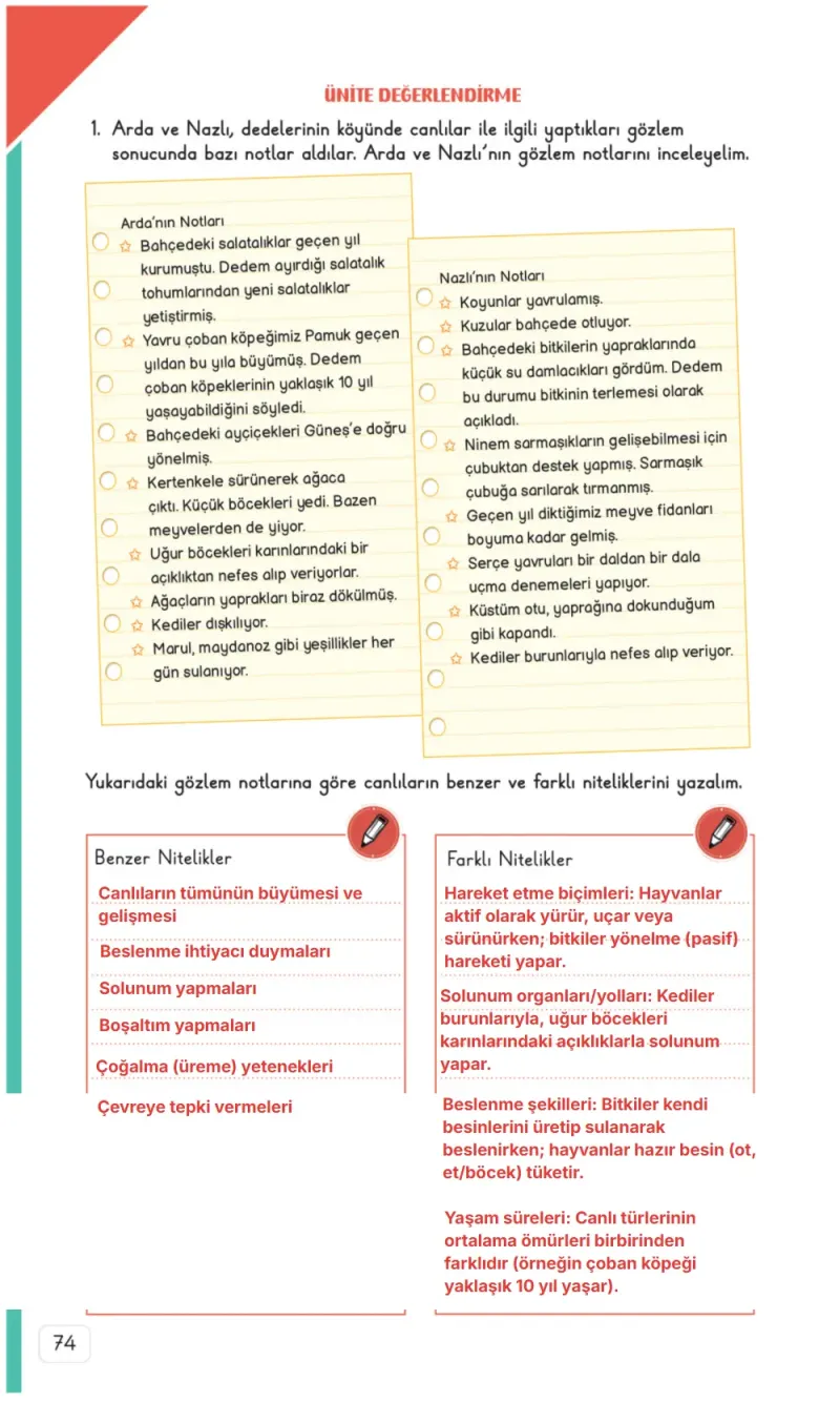 3. Sınıf Fen Bilimleri Ders Kitabı Cevapları Meb Yayınları 1. Kitap Sayfa 74 Çözüm Görseli
