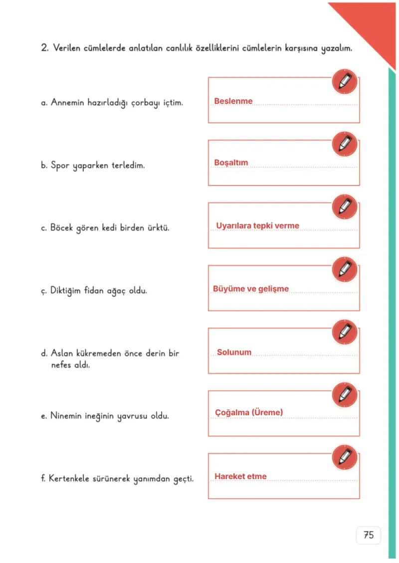 3. Sınıf Fen Bilimleri Ders Kitabı Cevapları Meb Yayınları 1. Kitap Sayfa 75 Çözüm Görseli