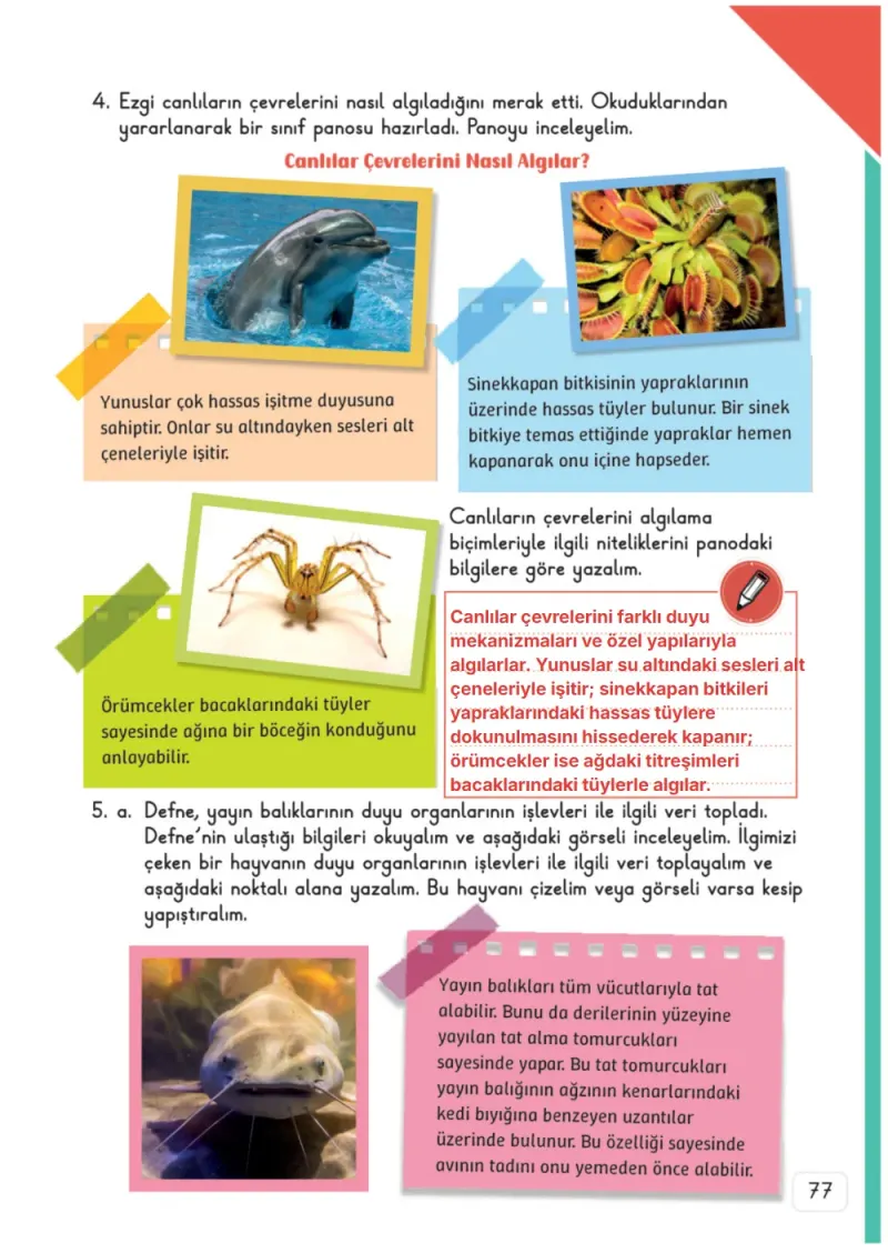3. Sınıf Fen Bilimleri Ders Kitabı Cevapları Meb Yayınları 1. Kitap Sayfa 77 Çözüm Görseli
