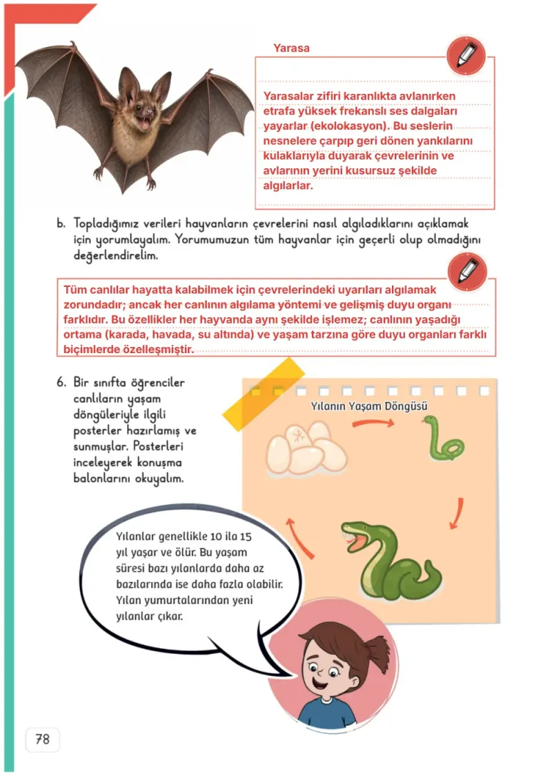 3. Sınıf Fen Bilimleri Ders Kitabı Cevapları Meb Yayınları 1. Kitap Sayfa 78 Çözüm Görseli