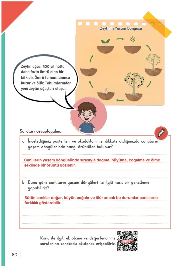 3. Sınıf Fen Bilimleri Ders Kitabı Cevapları Meb Yayınları 1. Kitap Sayfa 80 Çözüm Görseli