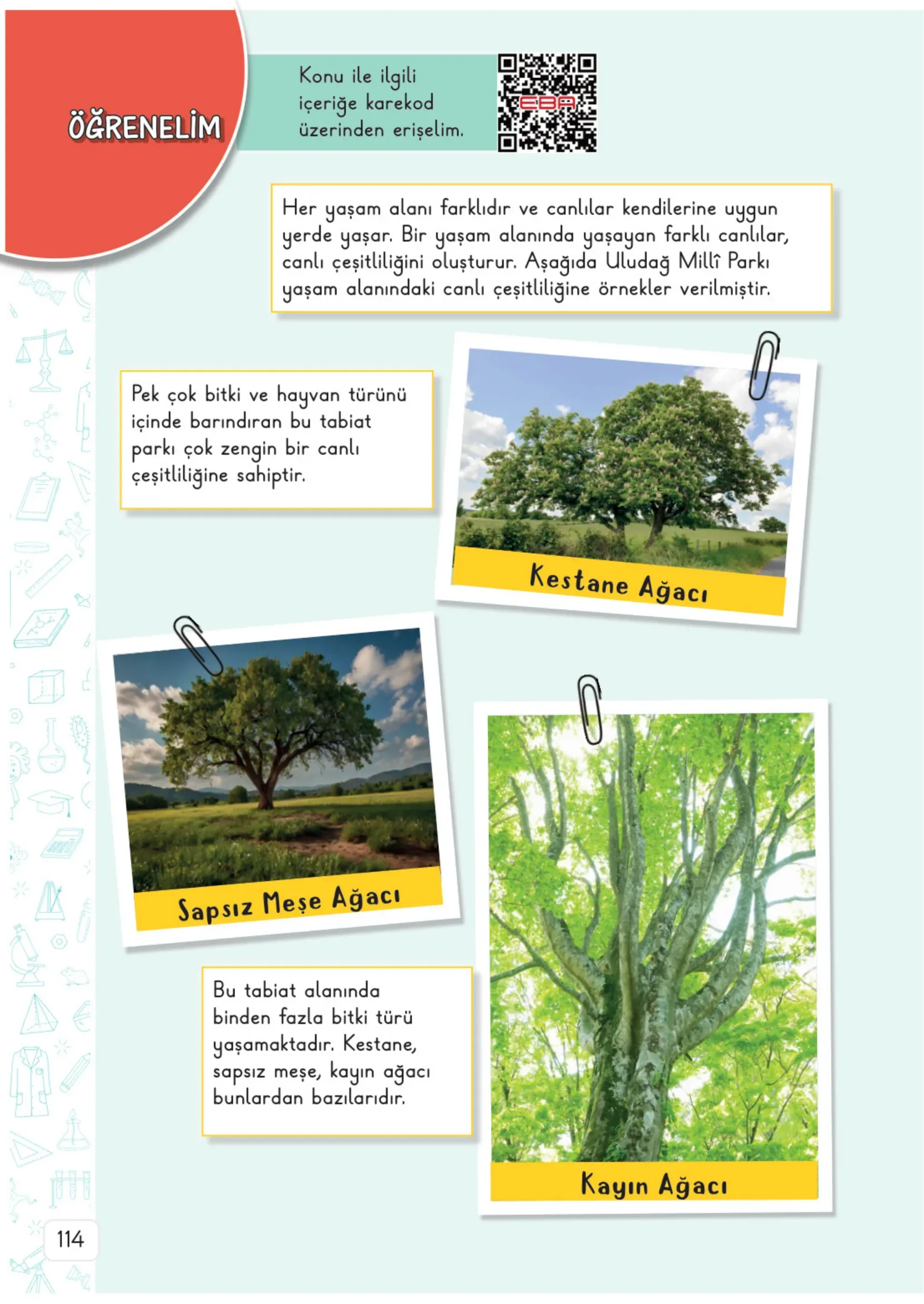 3. Sınıf Fen Bilimleri Ders Kitabı Cevapları Meb Yayınları 2. Kitap Sayfa 114