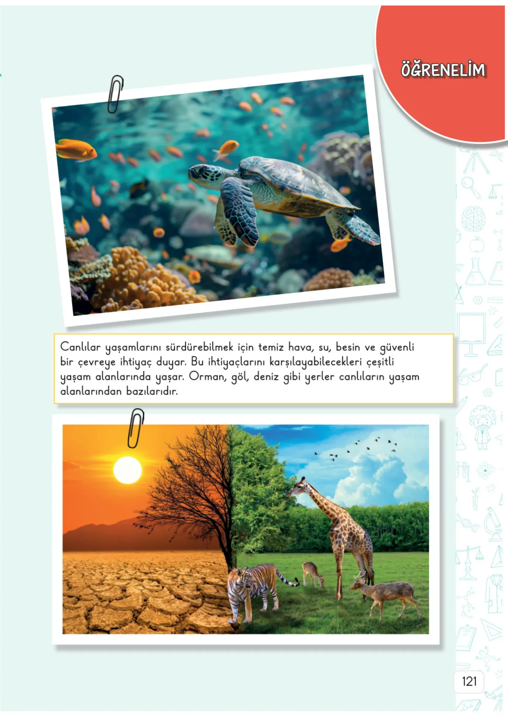 3. Sınıf Fen Bilimleri Ders Kitabı Cevapları Meb Yayınları 2. Kitap Sayfa 121