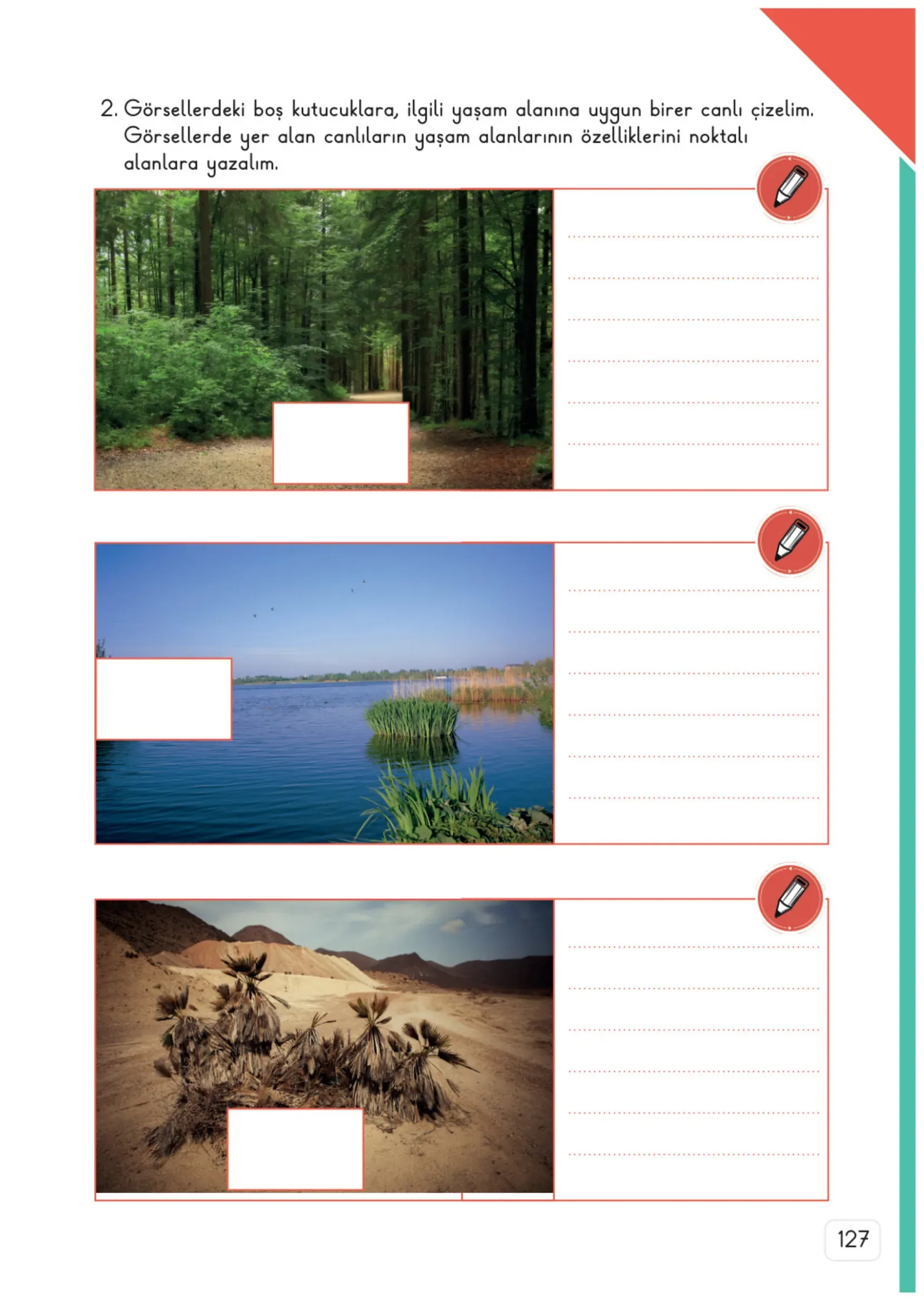 3. Sınıf Fen Bilimleri Ders Kitabı Cevapları Meb Yayınları 2. Kitap Sayfa 127