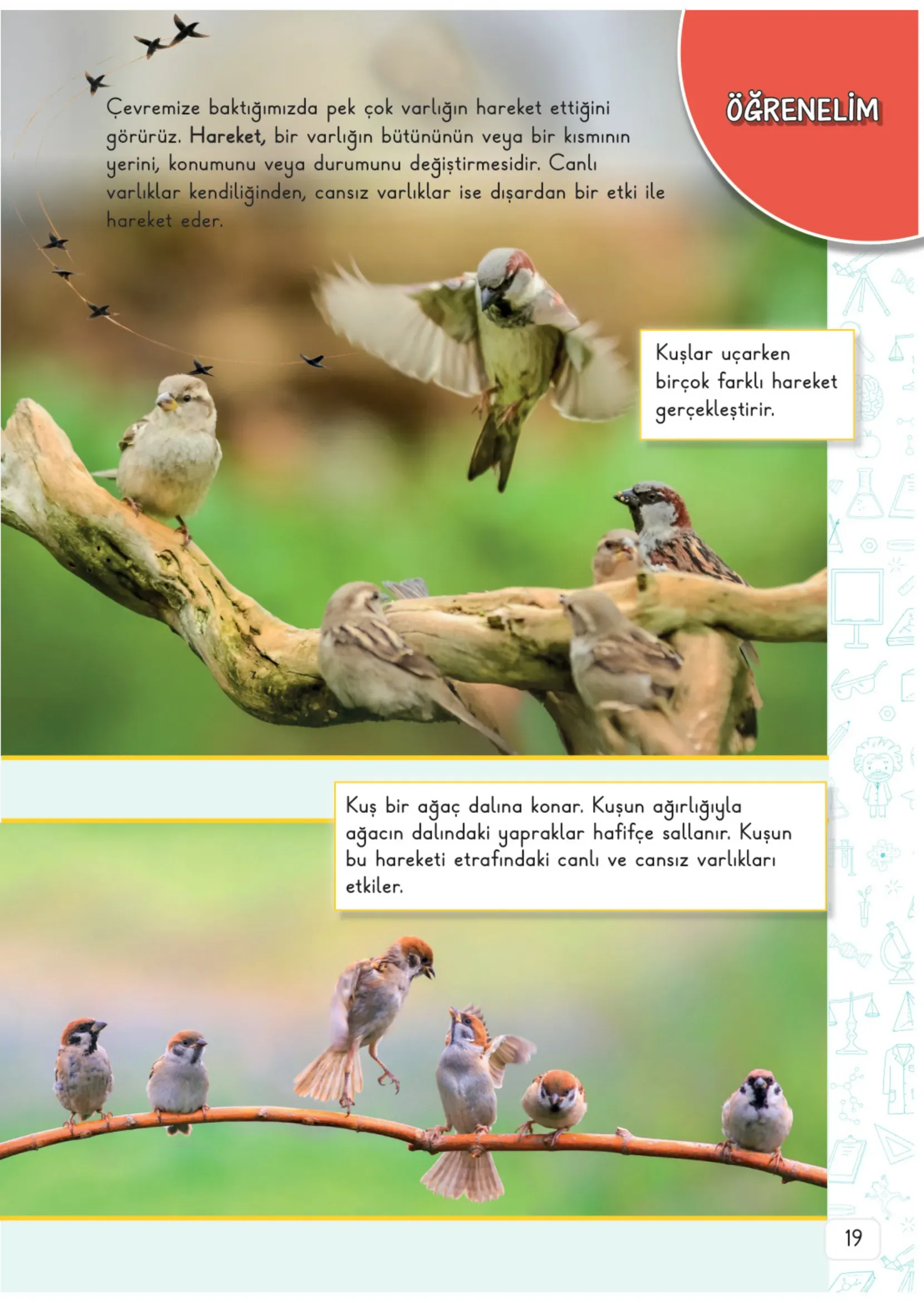 3. Sınıf Fen Bilimleri Ders Kitabı Cevapları Meb Yayınları 2. Kitap Sayfa 19