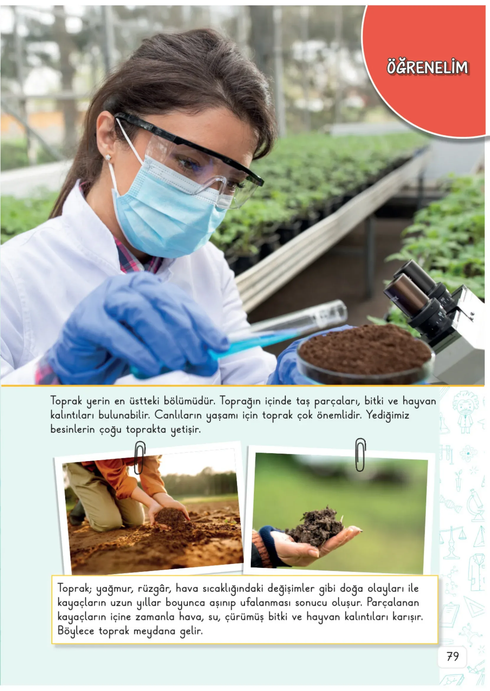3. Sınıf Fen Bilimleri Ders Kitabı Cevapları Meb Yayınları 2. Kitap Sayfa 79