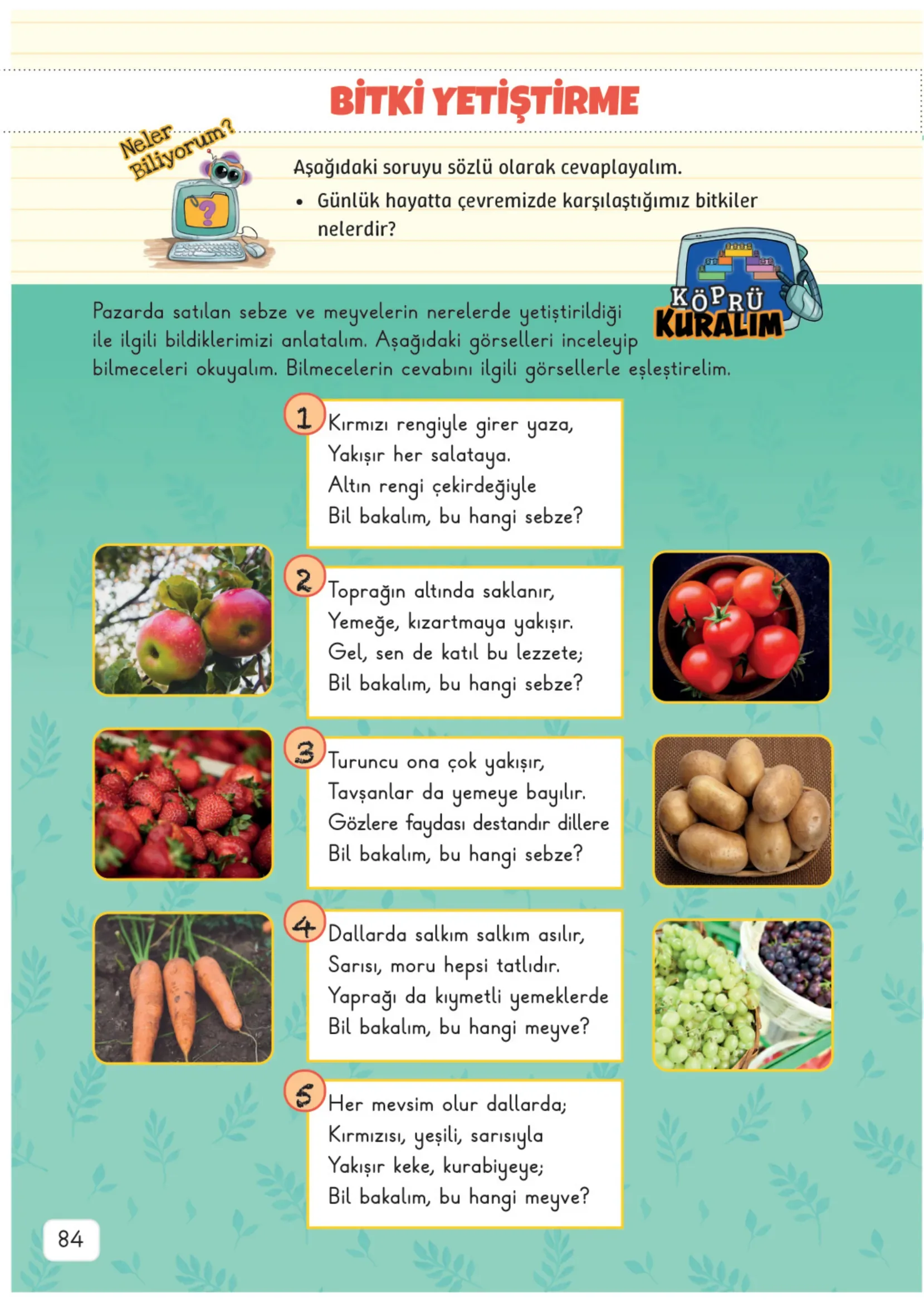 3. Sınıf Fen Bilimleri Ders Kitabı Cevapları Meb Yayınları 2. Kitap Sayfa 84
