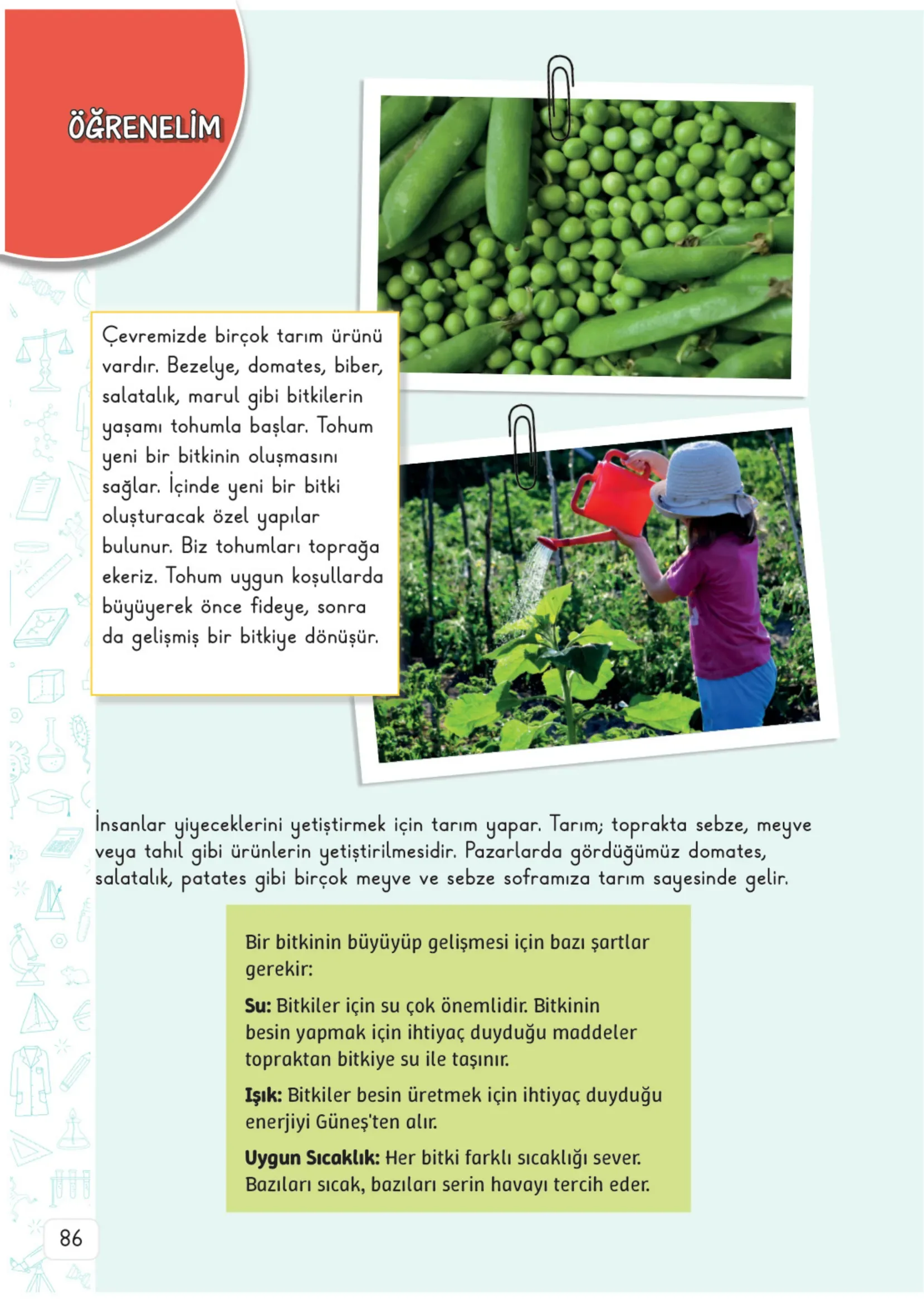 3. Sınıf Fen Bilimleri Ders Kitabı Cevapları Meb Yayınları 2. Kitap Sayfa 86