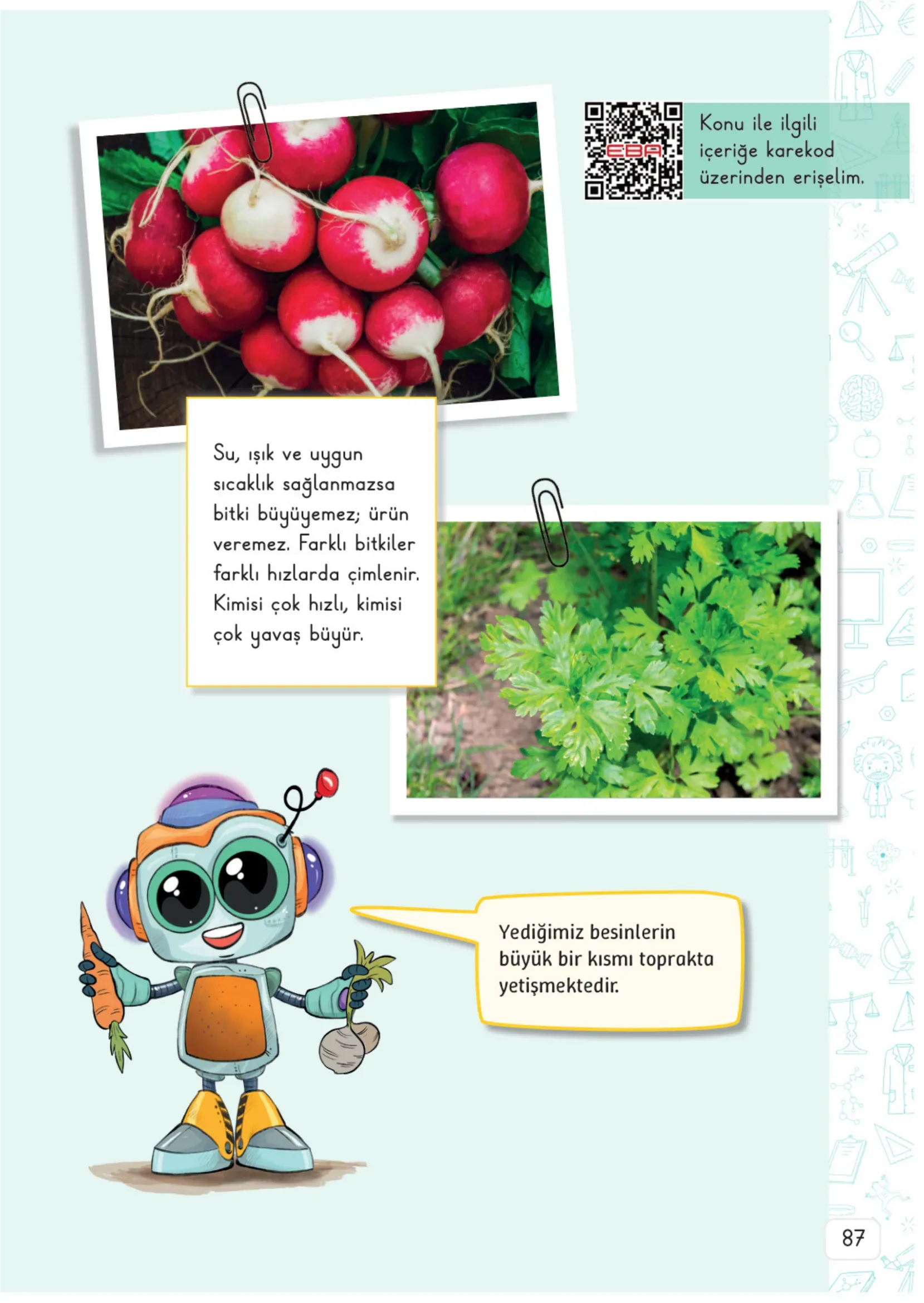 3. Sınıf Fen Bilimleri Ders Kitabı Cevapları Meb Yayınları 2. Kitap Sayfa 87