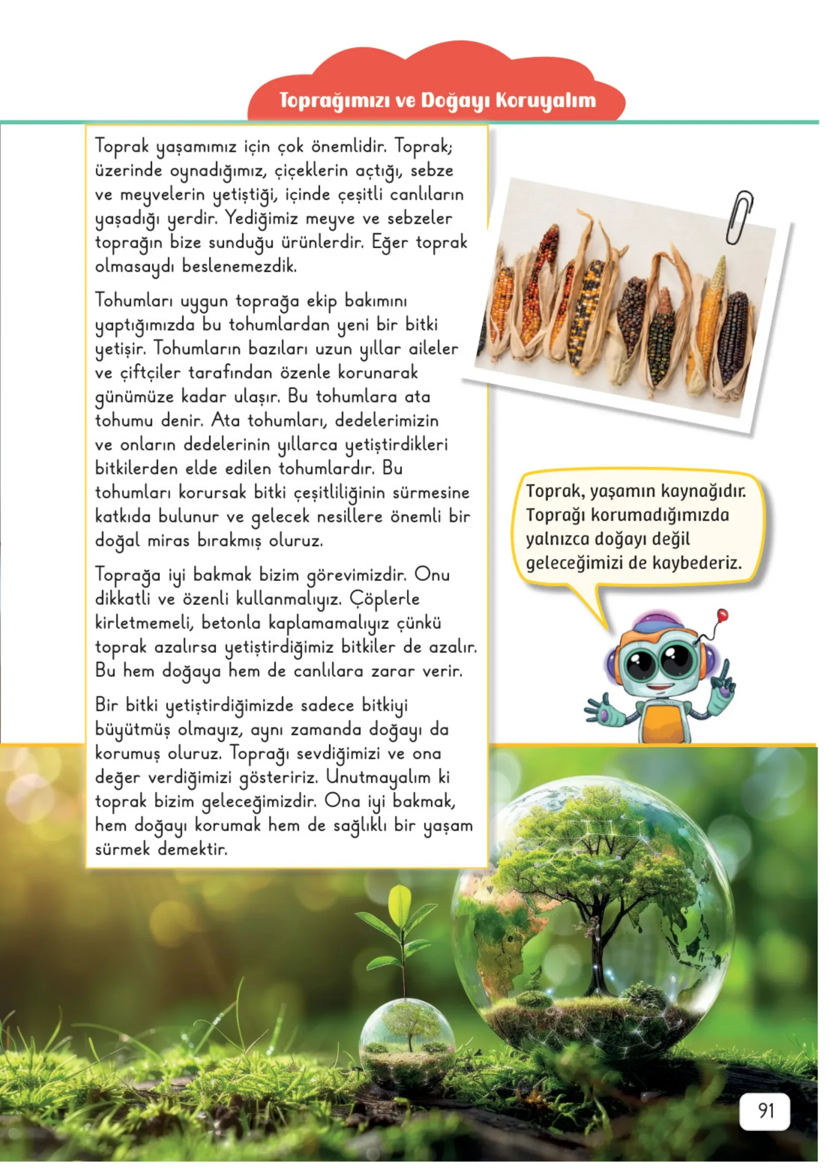 3. Sınıf Fen Bilimleri Ders Kitabı Cevapları Meb Yayınları 2. Kitap Sayfa 91