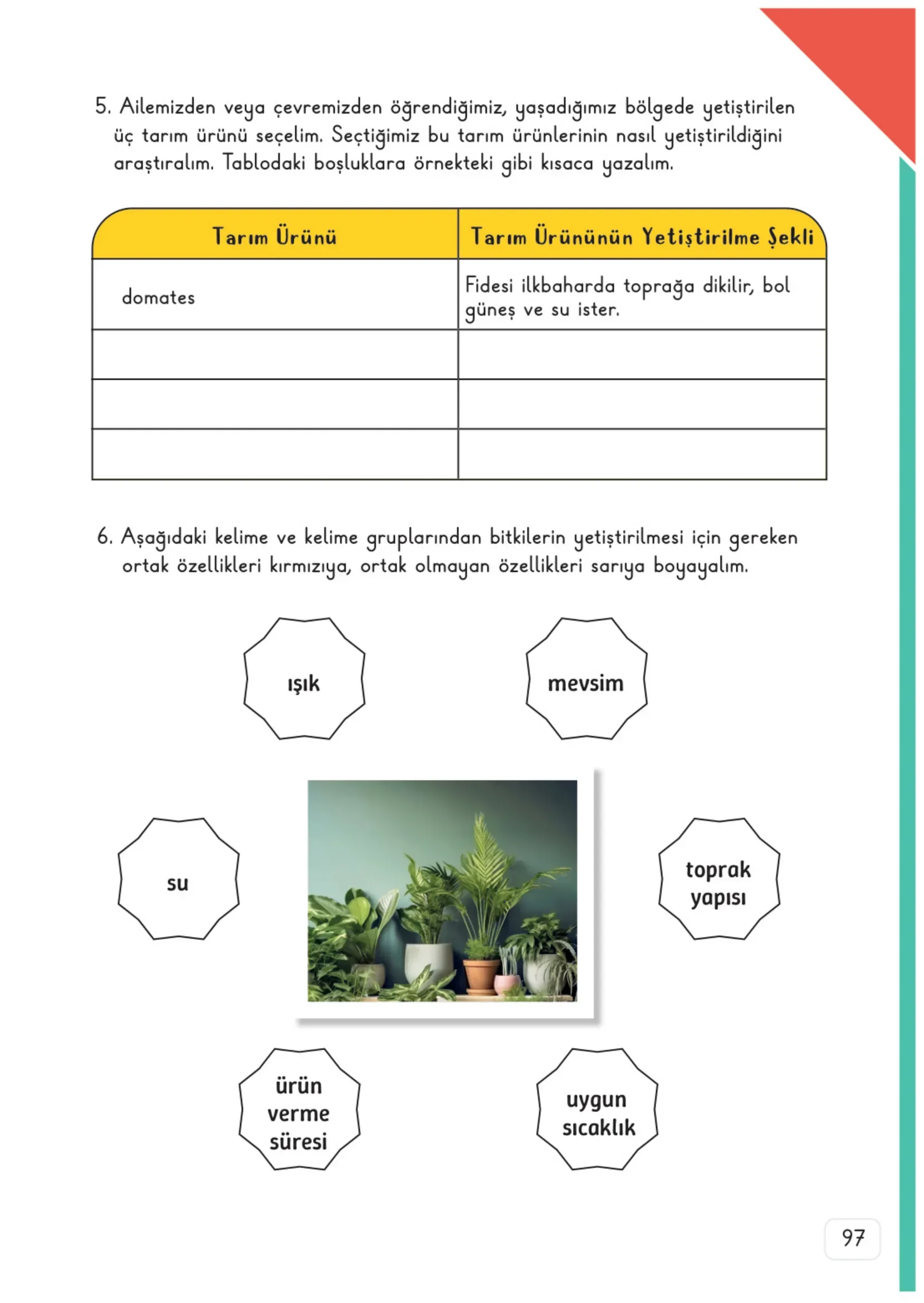 3. Sınıf Fen Bilimleri Ders Kitabı Cevapları Meb Yayınları 2. Kitap Sayfa 97