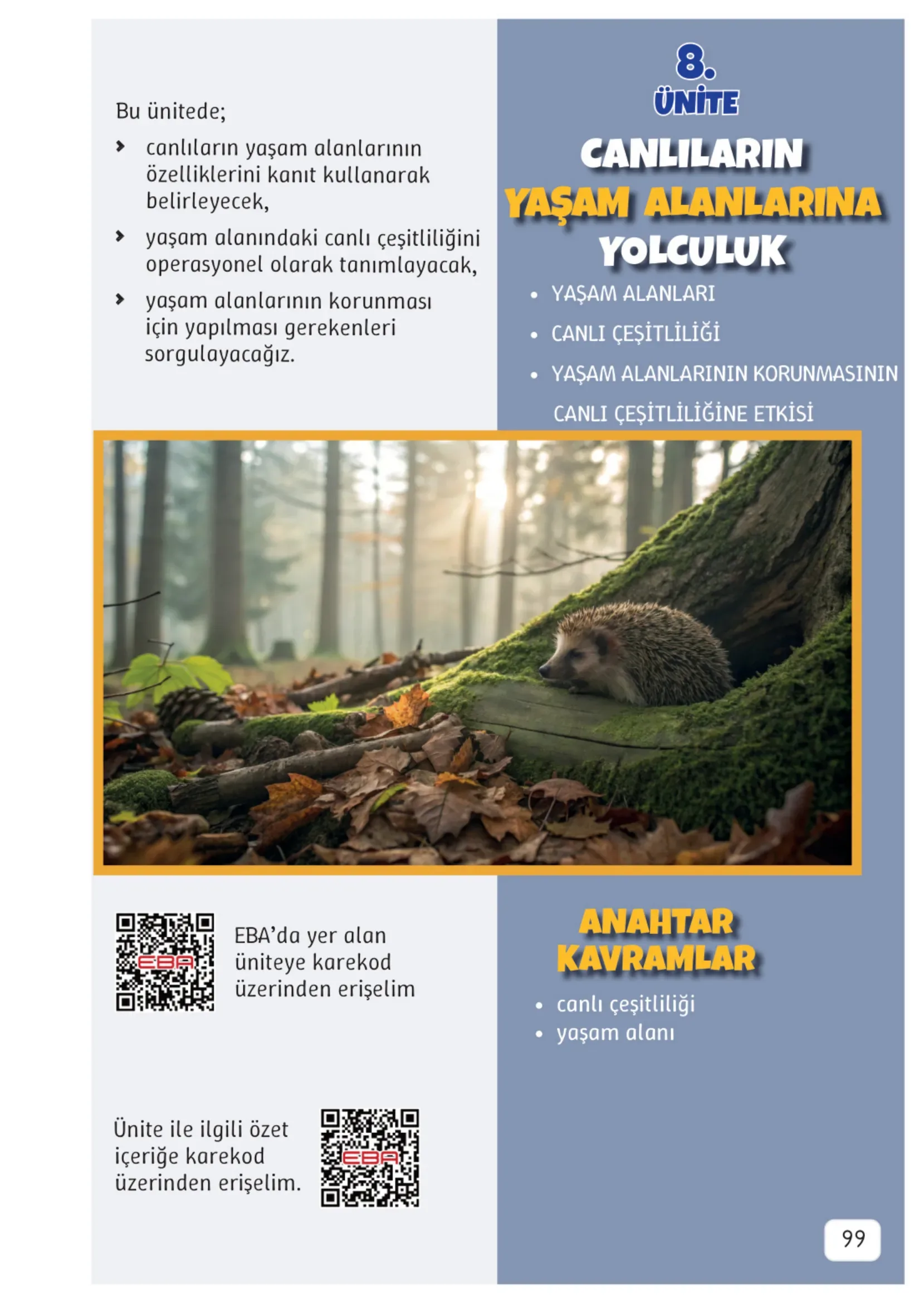 3. Sınıf Fen Bilimleri Ders Kitabı Cevapları Meb Yayınları 2. Kitap Sayfa 99