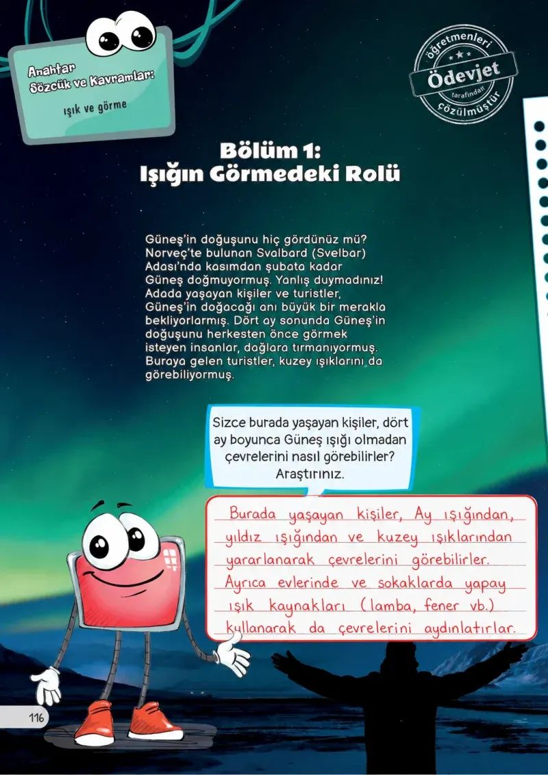 3. Sınıf Fen Bilimleri Ders Kitabı Cevapları Meb Yayınları Sayfa 116 Çözüm Görseli