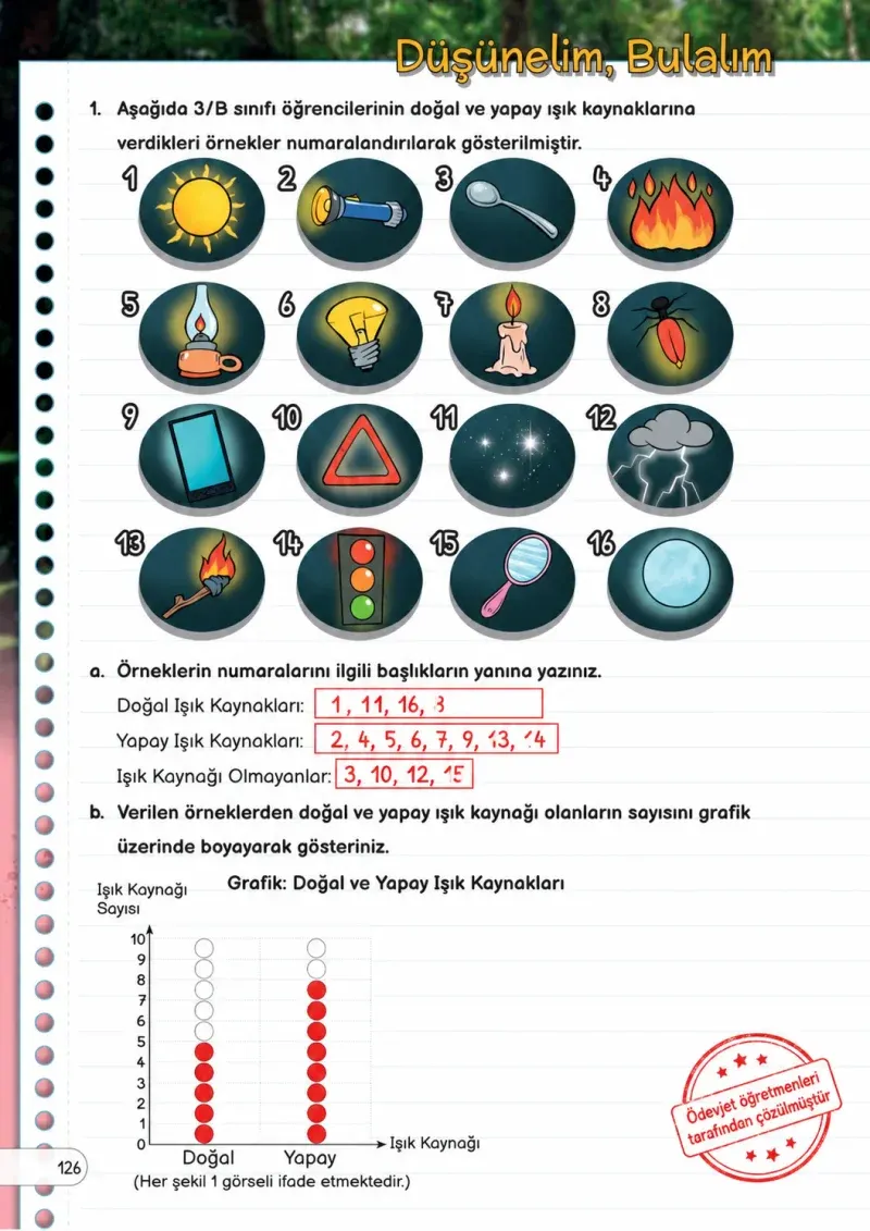 3. Sınıf Fen Bilimleri Ders Kitabı Cevapları Meb Yayınları Sayfa 126 Çözüm Görseli