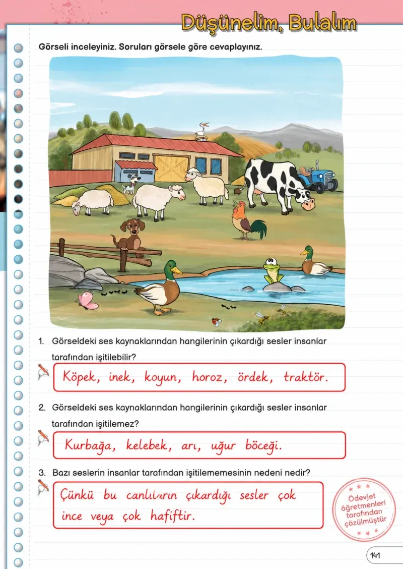 3. Sınıf Fen Bilimleri Ders Kitabı Cevapları Meb Yayınları Sayfa 141 Çözüm Görseli