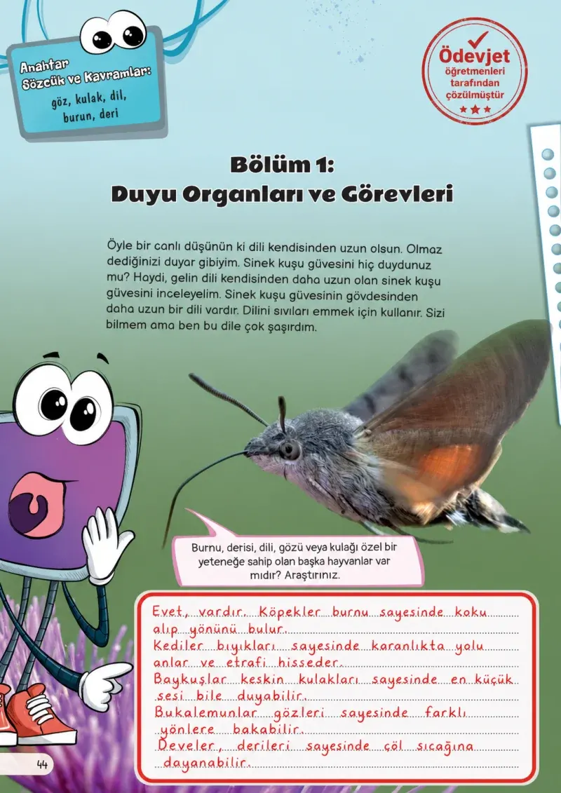 3. Sınıf Fen Bilimleri Ders Kitabı Cevapları Meb Yayınları Sayfa 44 Çözüm Görseli