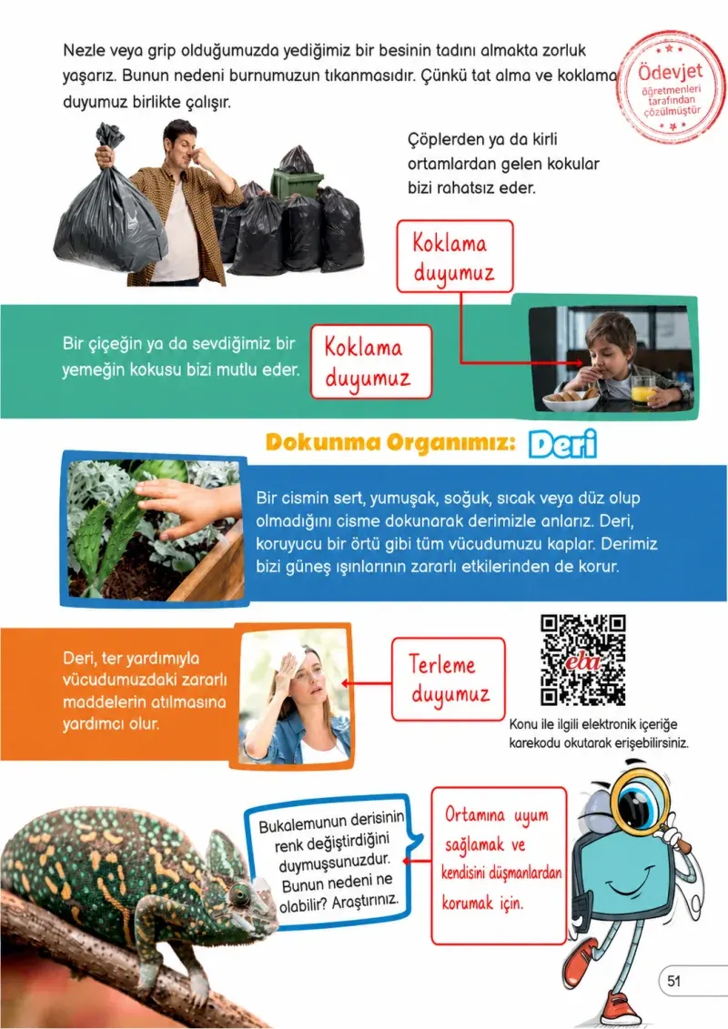 3. Sınıf Fen Bilimleri Ders Kitabı Cevapları Meb Yayınları Sayfa 51 Çözüm Görseli