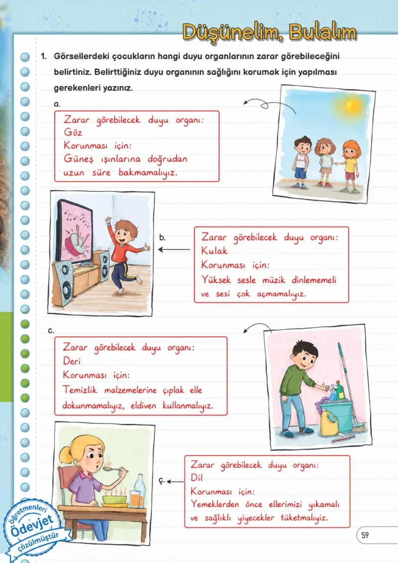 3. Sınıf Fen Bilimleri Ders Kitabı Cevapları Meb Yayınları Sayfa 59 Çözüm Görseli