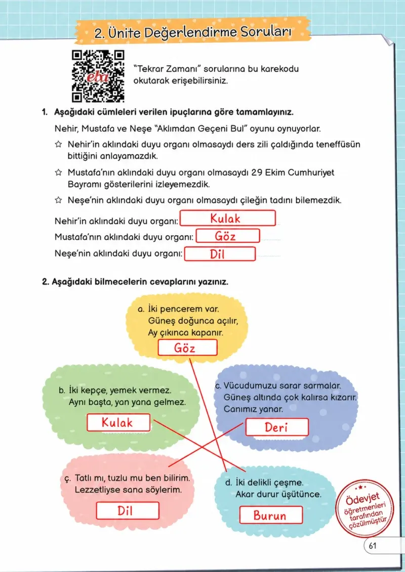3. Sınıf Fen Bilimleri Ders Kitabı Cevapları Meb Yayınları Sayfa 61 Çözüm Görseli
