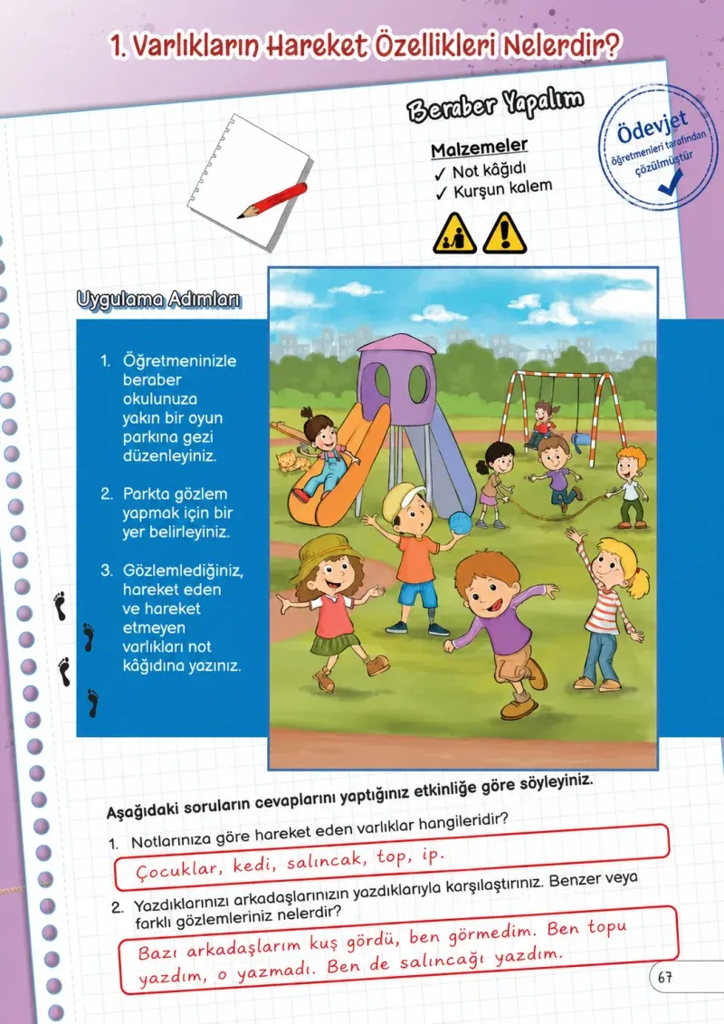 3. Sınıf Fen Bilimleri Ders Kitabı Cevapları Meb Yayınları Sayfa 67 Çözüm Görseli