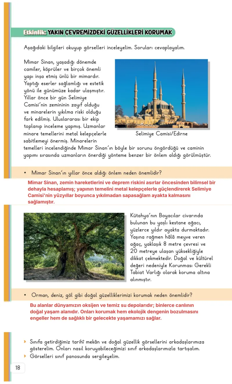 3. Sınıf Hayat Bilgisi Ders Kitabı Cevapları Meb Yayınları 2. Kitap Sayfa 18 Çözüm Görseli