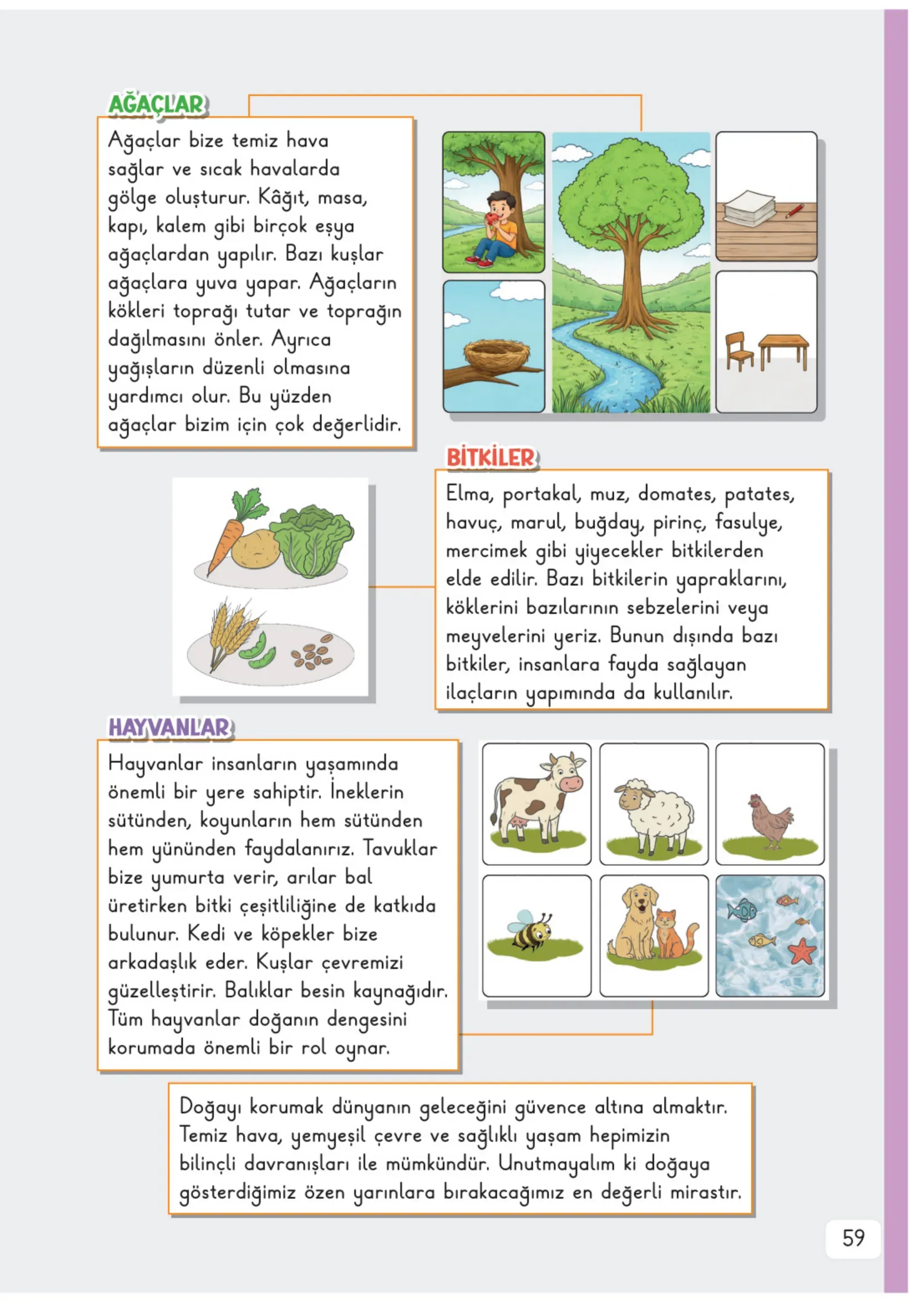 3. Sınıf Hayat Bilgisi Ders Kitabı Cevapları Meb Yayınları 2. Kitap Sayfa 59