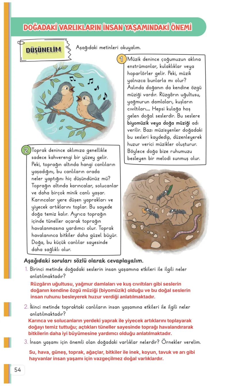 3. Sınıf Hayat Bilgisi Ders Kitabı Cevapları Meb Yayınları 2. Kitap Sayfa 54 Çözüm Görseli