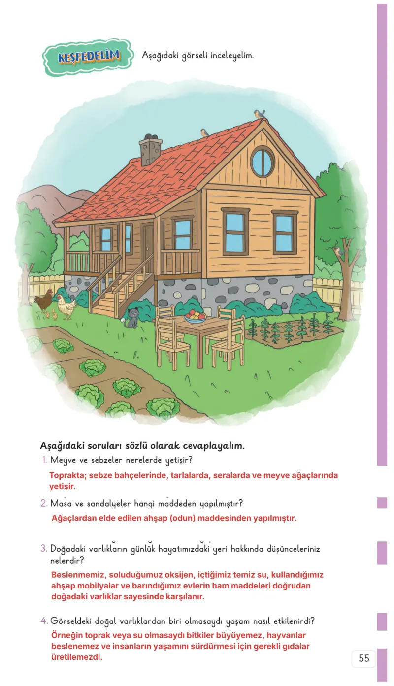 3. Sınıf Hayat Bilgisi Ders Kitabı Cevapları Meb Yayınları 2. Kitap Sayfa 55 Çözüm Görseli