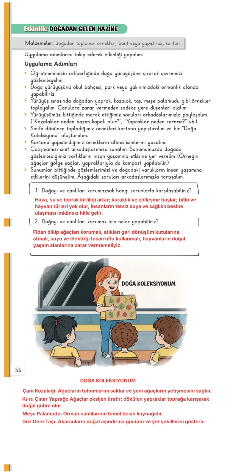 3. Sınıf Hayat Bilgisi Ders Kitabı Cevapları Meb Yayınları 2. Kitap Sayfa 56 Çözüm Görseli