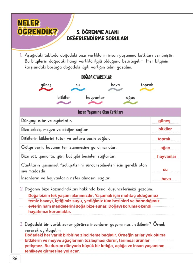 3. Sınıf Hayat Bilgisi Ders Kitabı Cevapları Meb Yayınları 2. Kitap Sayfa 86 Çözüm Görseli
