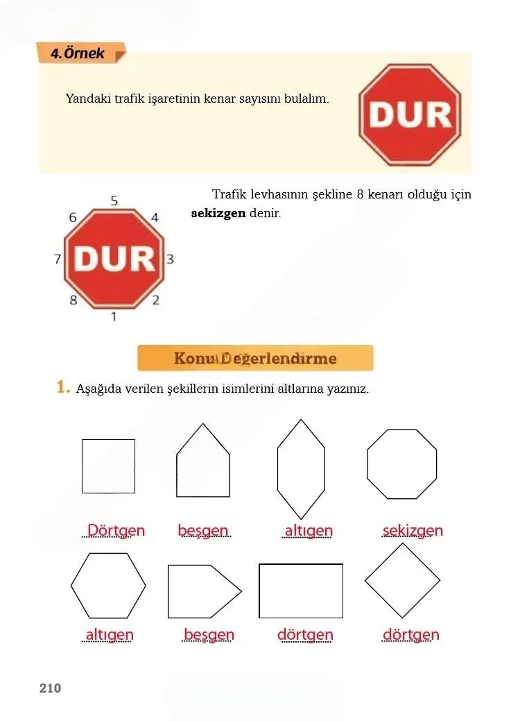 3. Sınıf Matematik Ders Kitabı Cevapları Ekoyay Yayınları Sayfa 210 Çözüm Görseli