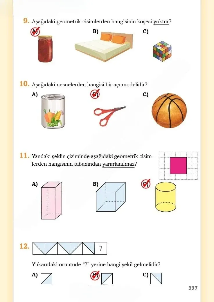 3. Sınıf Matematik Ders Kitabı Cevapları Ekoyay Yayınları Sayfa 227 Çözüm Görseli