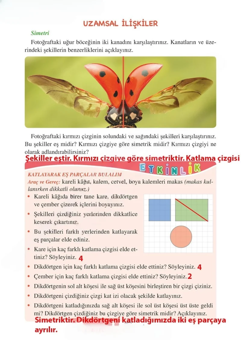 3. Sınıf Matematik Ders Kitabı Cevapları Tuna Matbacılık Yayınları Sayfa 209 Çözüm Görseli