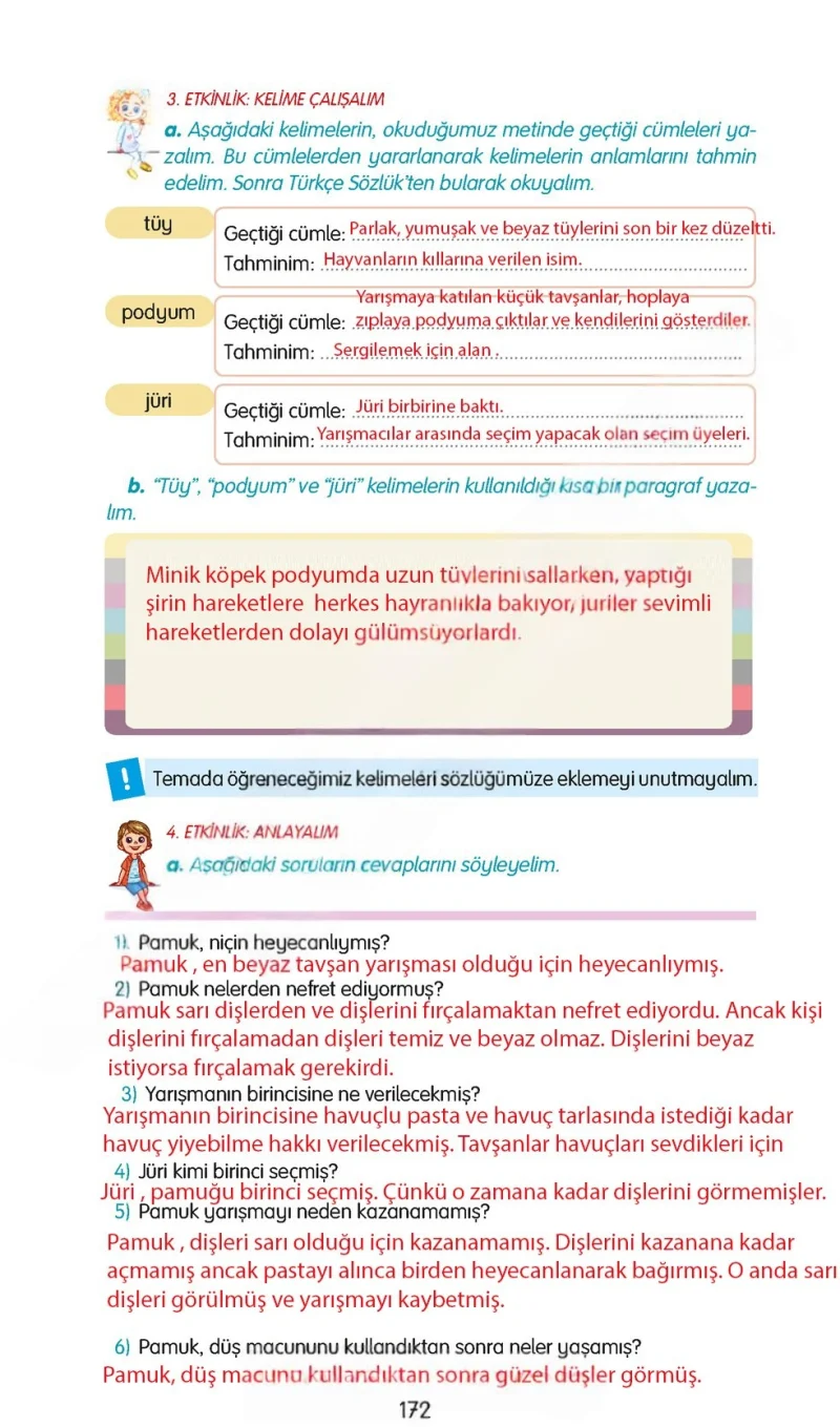 3. Sınıf Türkçe Ders Kitabı Cevapları Gizem Yayınları Sayfa 172 Çözüm Görseli