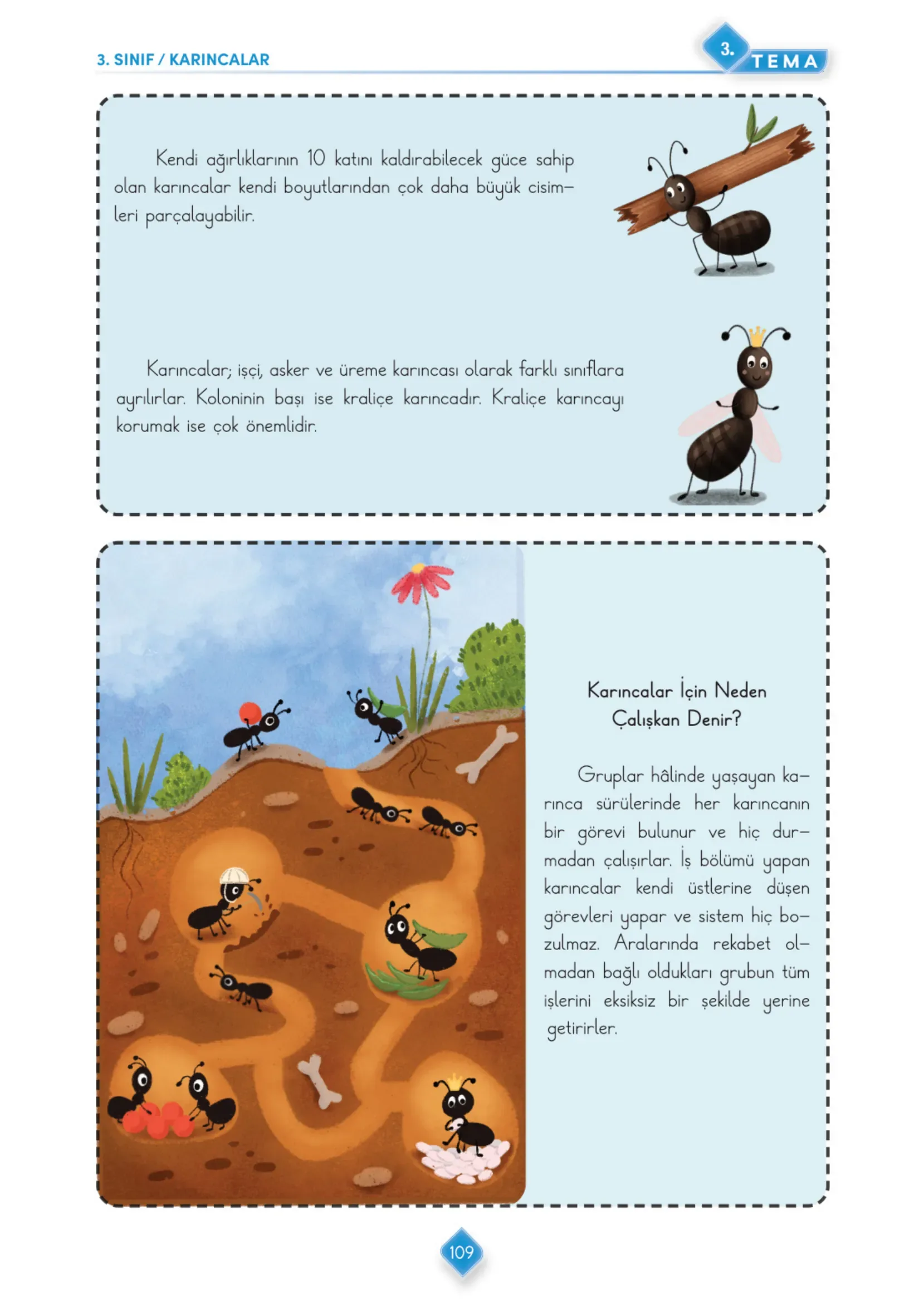 3. Sınıf Türkçe Ders Kitabı Cevapları Meb Yayınları 1. Kitap Sayfa 109