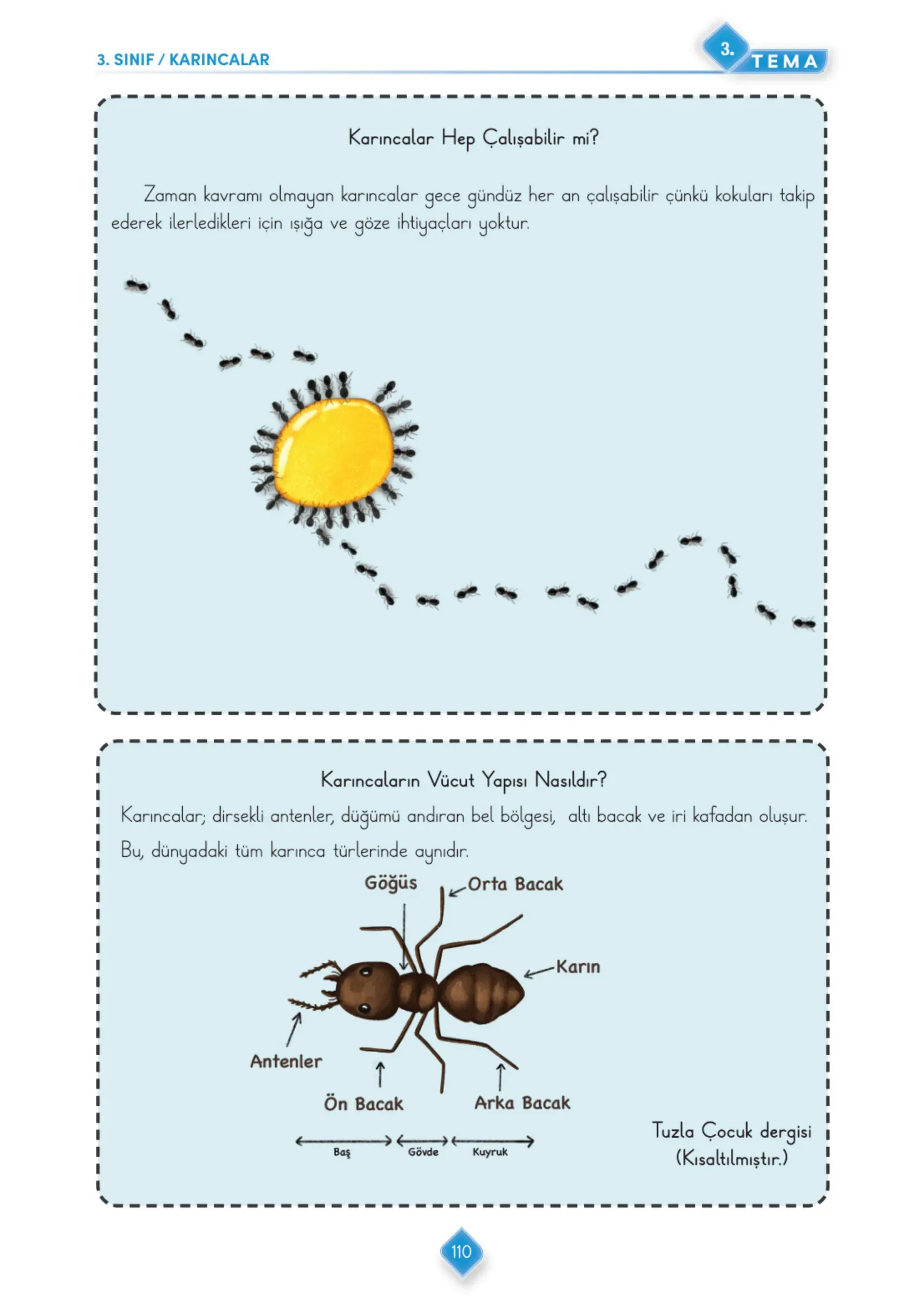 3. Sınıf Türkçe Ders Kitabı Cevapları Meb Yayınları 1. Kitap Sayfa 110