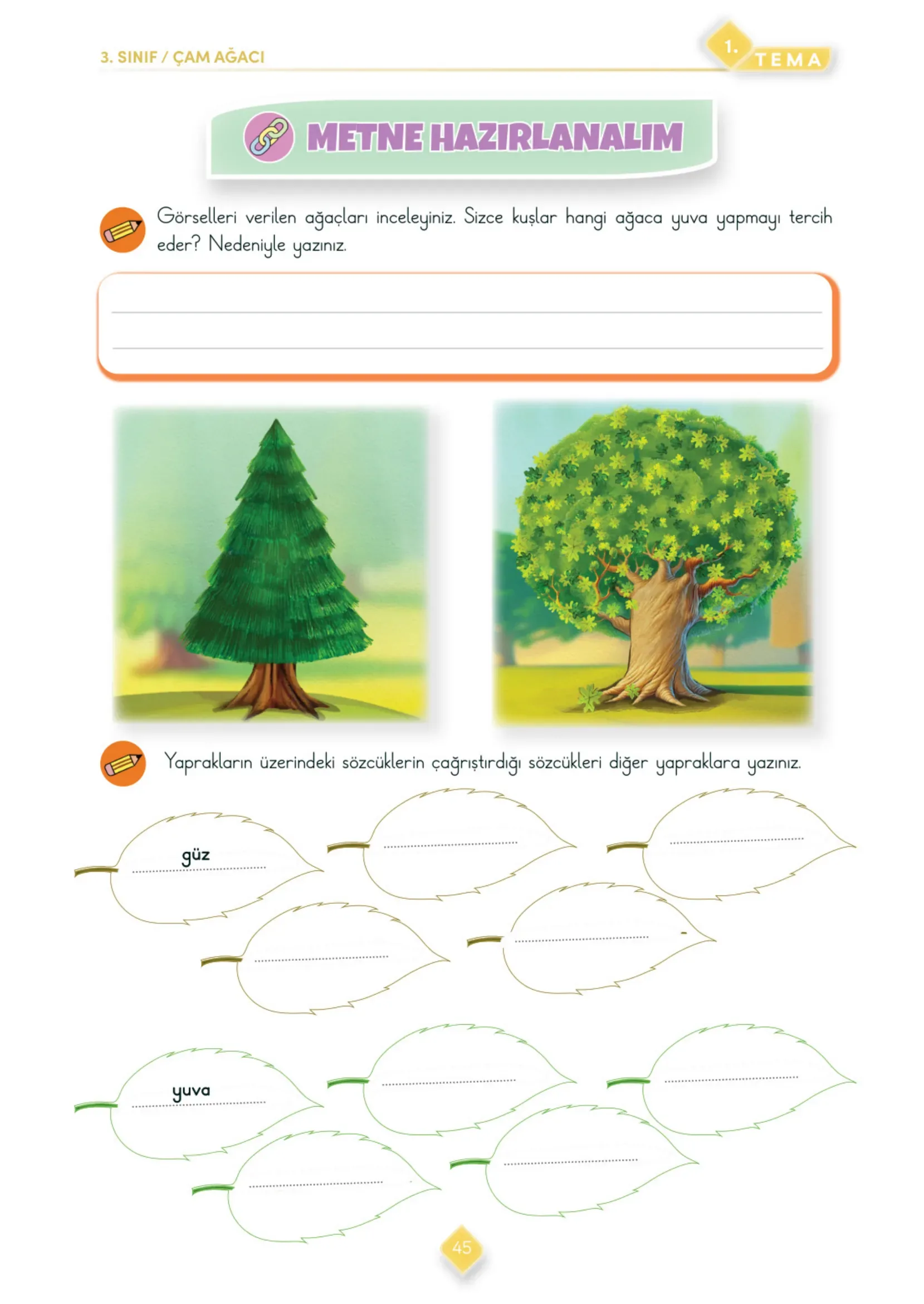 3. Sınıf Türkçe Ders Kitabı Cevapları Meb Yayınları 1. Kitap Sayfa 45