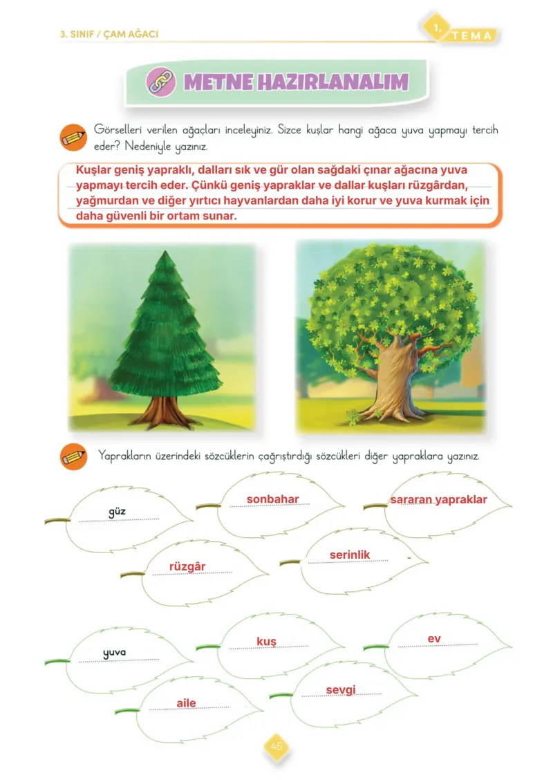 3. Sınıf Türkçe Ders Kitabı Cevapları Meb Yayınları 1. Kitap Sayfa 45 Çözüm Görseli