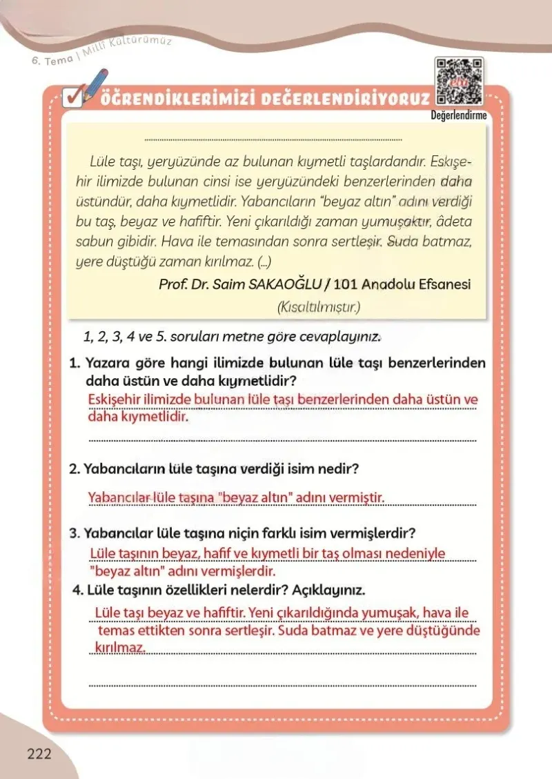 3. Sınıf Türkçe Ders Kitabı Cevapları Meb Yayınları Sayfa 222 Çözüm Görseli
