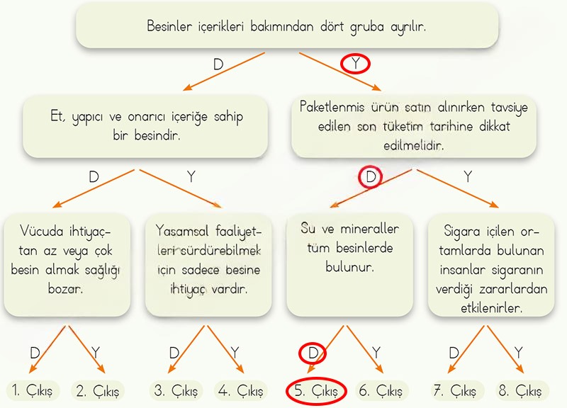 Çözüm Görseli