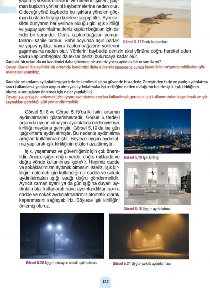 4. Sınıf Fen Bilimleri Ders Kitabı Cevapları Sözcü Yayınları Sayfa 132 Çözüm Görseli